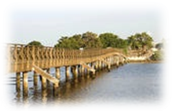 image005.png