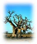 image008.png