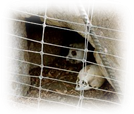 image010.png