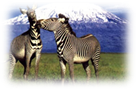 image010.png