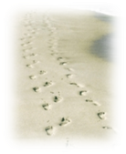 image029.png