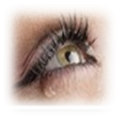 image030.png